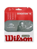 Sensation - Wilson